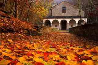 SANTUARIO FAGGIO